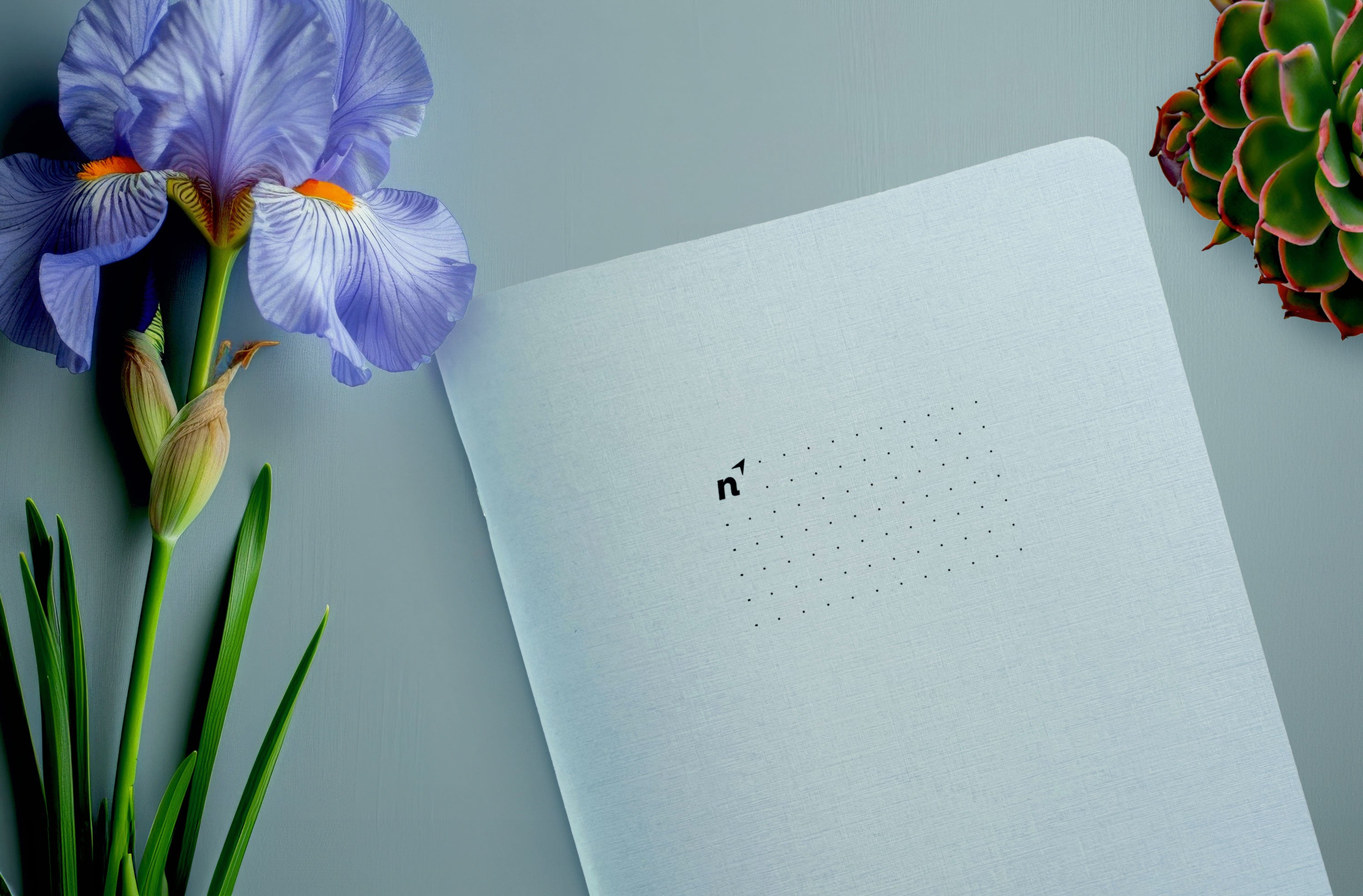 A Northbooks A5 Blues "Dots" notebook laying on a surface surrounded by an orchid flower and a small succulent plant